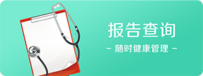 报告查询